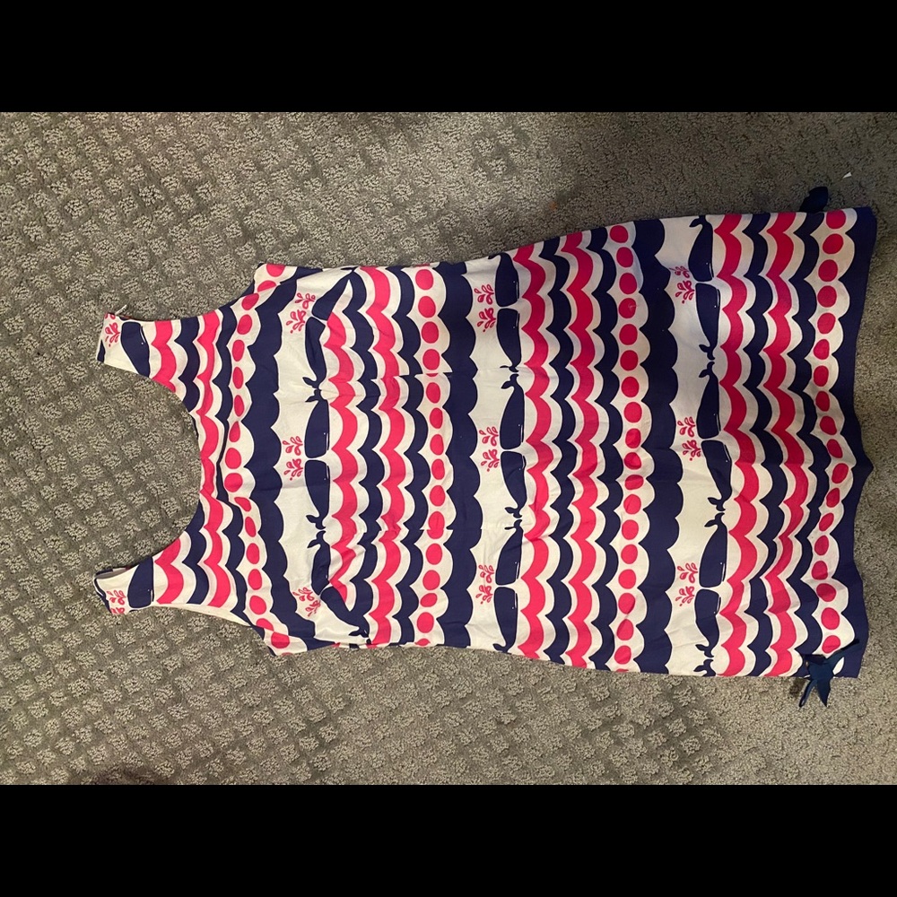 Lilly Pulitzer Blue and Pink Mini Dress